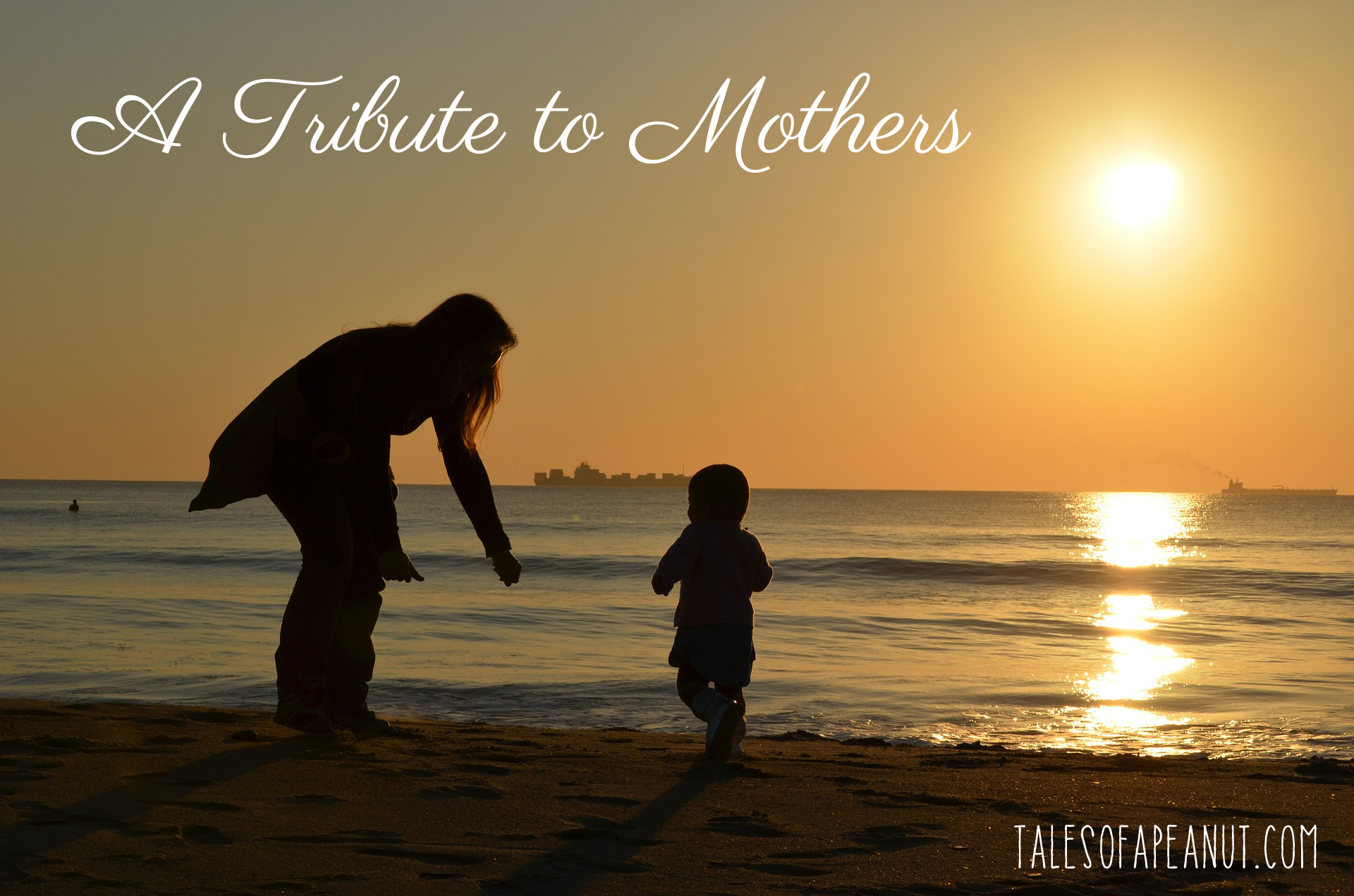 A Tribute to Mothers - Tales of a Peanut
